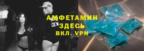 PSILOCYBIN Аркадак
