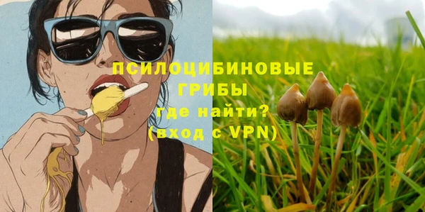 PSILOCYBIN Аркадак