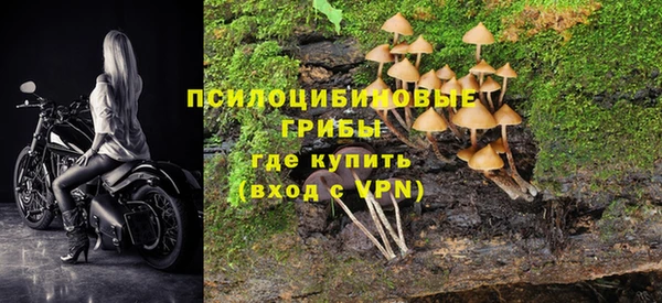 PSILOCYBIN Аркадак