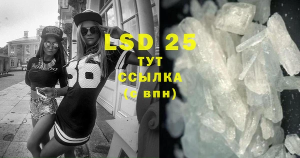 PSILOCYBIN Аркадак